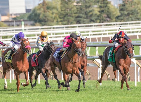 7 Kľúčových Stratégií pre Výkonnosť Poštových Holubov: Ako Zvíťaziť!