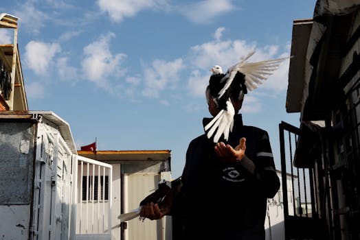 Titulok: Ako poštové holuby navigujú svet: Unikátne schopnosti a zmysly