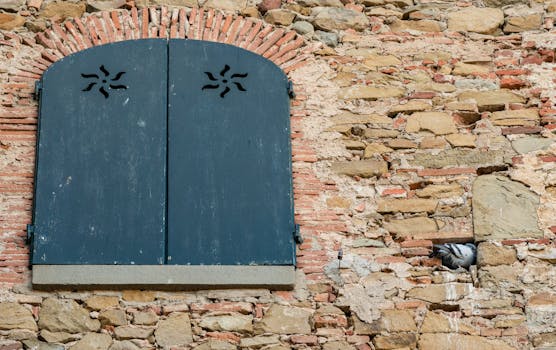 Optimálny výber hniezda pre zdravé poštové holuby