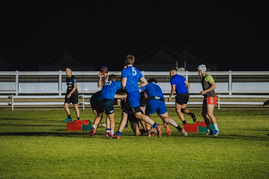 Maximalizujte výkon poštových holubov: Efektívne tréningové stratégie