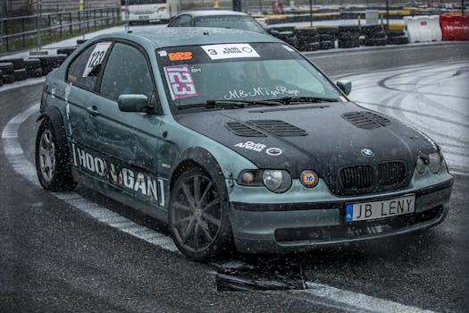 Zimná starostlivosť o poštové holuby: Zdravie a výkonnosť