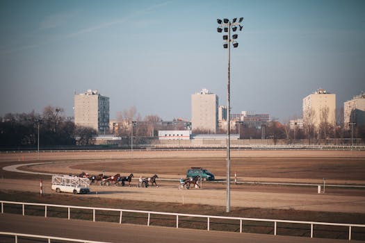 Holubiarske Súťaže na Slovensku: História, Trendy a Významné Podujatia